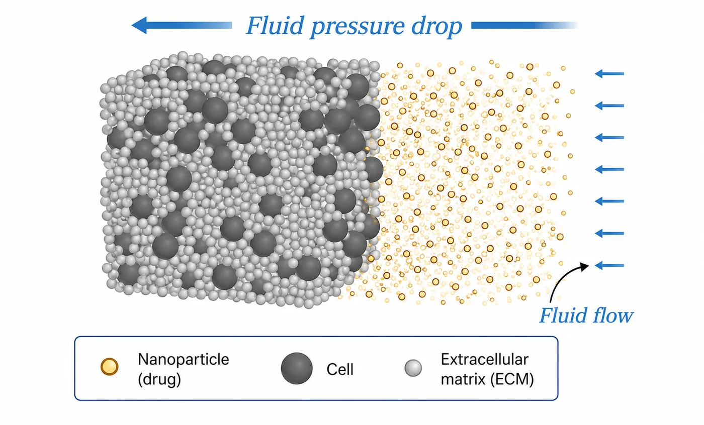 Simulated nanoparticles moving through a packed bed of cells and extracellular matrix, driven by an interstitial fluid pressure drop.